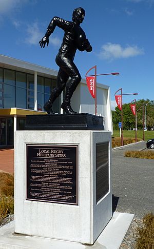 New Zealand Rugby Museum - statue