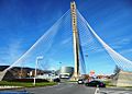 Pontevedra Capital Puente de los Tirantes Torre y haces de cables