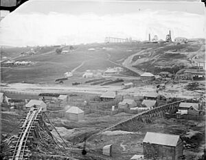 Port Phillip and Colonial Gold Mining Co., Clune