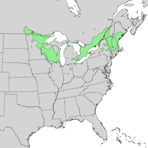Prunus nigra range map 2.png