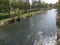 Río Tirón a su paso por Anguciana