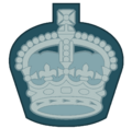 RAF WO2 1919