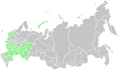 Range map-Senecio congestus-Russia