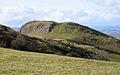 Roundton Hill - geograph.org.uk - 719042