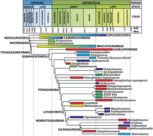 Savannasaurus-fig7-phylogeny