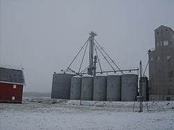 Grain elevator in Sedalia