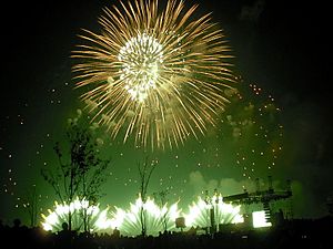Seoul international fireworks festival 2011-002