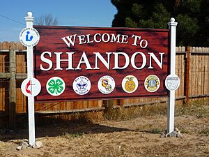 Shandon sign