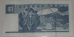 Singaporeonedollarnote2