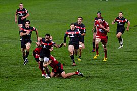 Stade toulousain vs RC Toulon - 2012-09-29 - 48