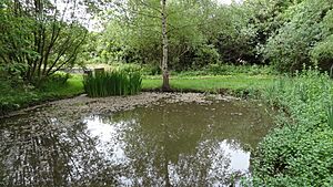 Stanmore Country Park 5