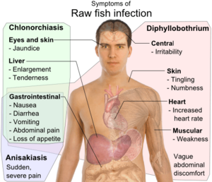 Symptoms of Raw fish infection