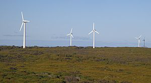 Ten Mile Lagoon Wind Farm, Esperance