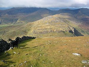 The NW slopes of Moel Hebog towards Moel yr Ogof - geograph.org.uk - 72475