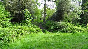 The Wood, Surbiton 5