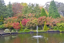 The autumn colour of the Bebeah Private Garden in the town of Mount Wilson, New South Wales