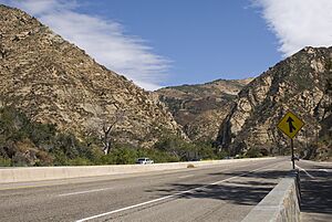 The open road (4944517055)