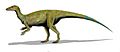 Thescelosaurus BW3