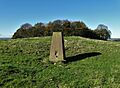 Triangulation pillar on Aleck Low (geograph 5580948)
