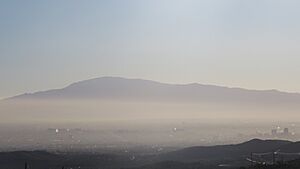 Tucson2