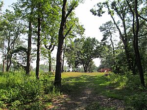 Van Horn Park, Springfield MA