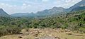 View of Senbagathoppu From Kaattalagar temple, Thiruvillipuththur 2
