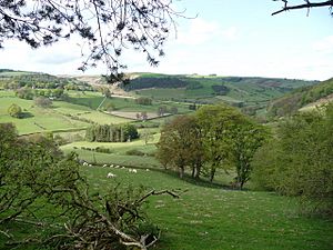View over part of the Ceiriog Valley - geograph.org.uk - 1864271