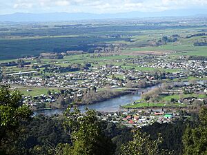 Waikato basin from Hakarimata Summit.jpg