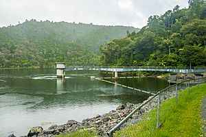 Whau Valley earth dam