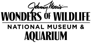 Wonders of Wildlife Museum & Aquarium Logo.svg