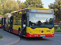Wroclaw Mercedes-Benz Conecto line 119 2021 P01.jpg