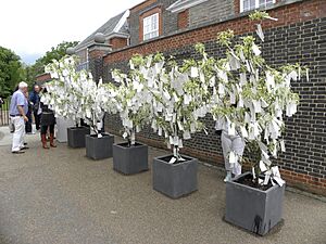 Yoko Ono Wish Tree B