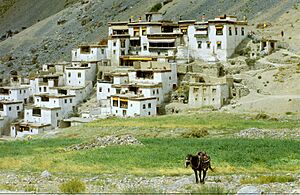 Zanskar Lingshed 01