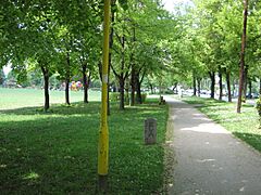 Zenica 72000, Bosnia and Herzegovina - panoramio (2)