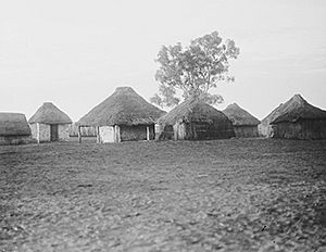 186 Aboriginal dwellings w480