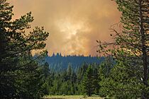 5.18pm, view Angora Ridge Forest Fire from Highway 89, South Lake Tahoe