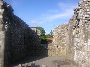 Annaghdown Abbey