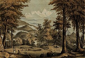 Art of W. Taylor in 1854, Himalayan Journals; or, Notes of a Naturalist in Bengal, the Sikkim and Nepal Himalayas, the Khasia Mountains, &c. Volume 1 by J. D. Hooker, Kanchanjunga from Hodgson's bungalow (cropped)