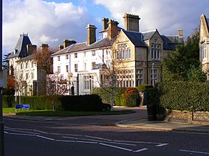 Avenue house finchley