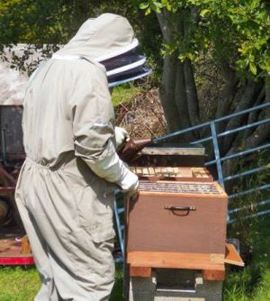 Beekeepersmoker