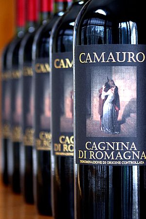 Cagnina di Romagna wine