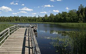 Ced-Bog pier June2013