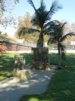 Centinela Springs 3