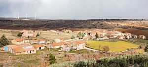 Ciruelos del Pinar, Guadalajara, España, 2016-01-05, DD 33.JPG