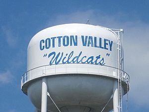 Cotton Valley Wildcats sign IMG 3557
