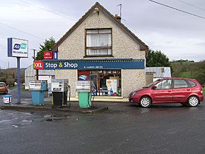 Country Store - geograph.org.uk - 107281.jpg