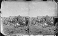 Coyotero Apach 1873