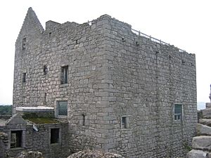 Craigmillar tower2