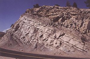 Dakota Fm Dinosaur Ridge.jpg