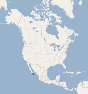 Distribution of Myotis peninsularis.png